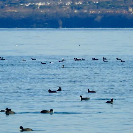 Aura Lägenhet Sirmione